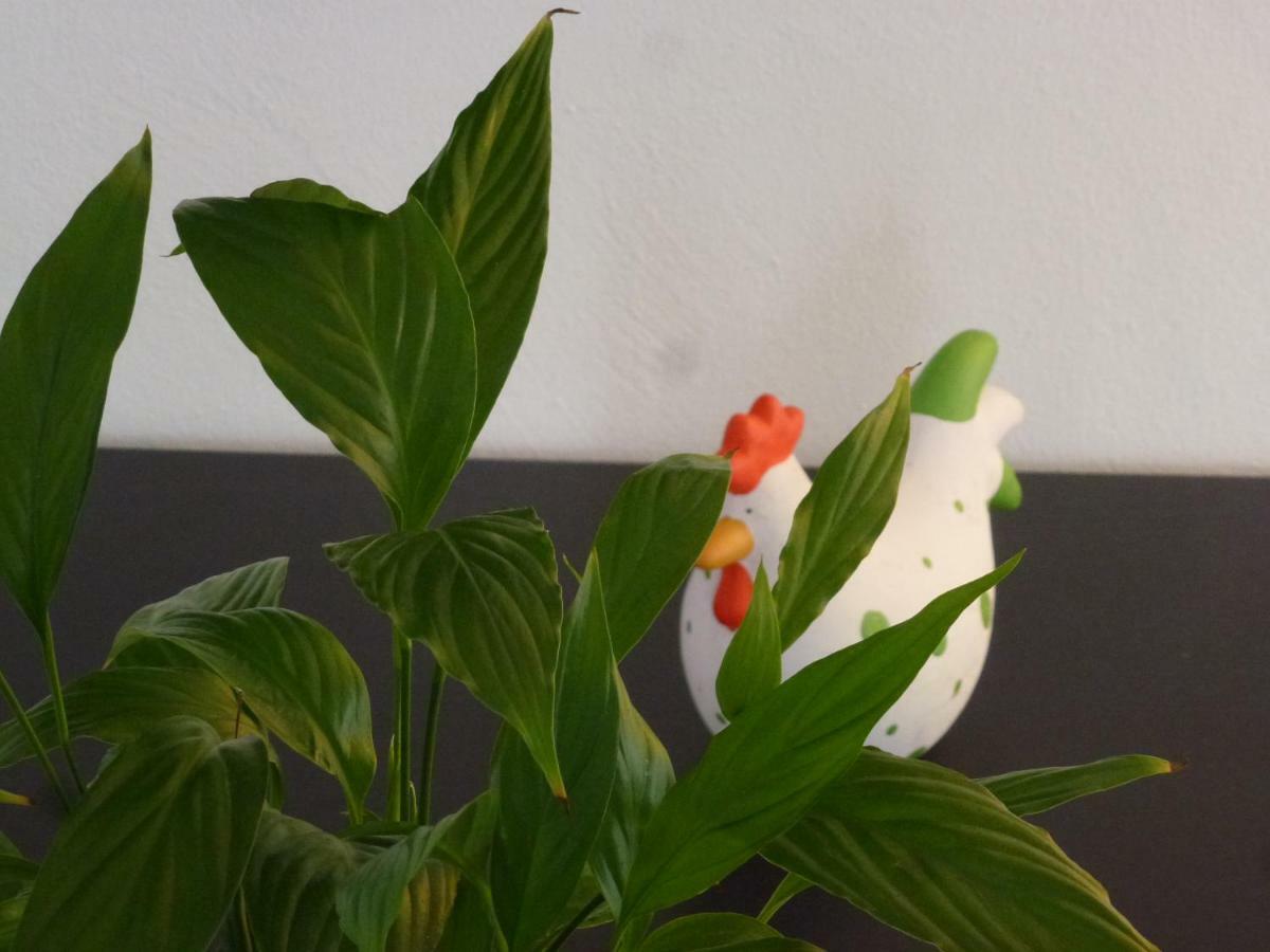 Appartamento Ahle Uhl Honningen  Esterno foto