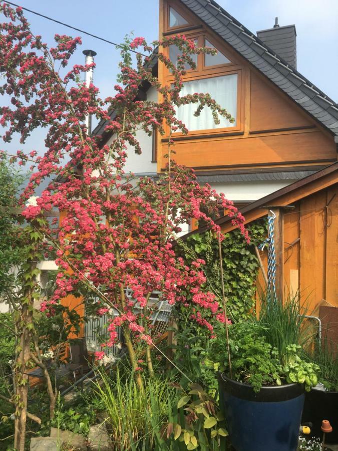 Appartamento Ahle Uhl Honningen  Esterno foto